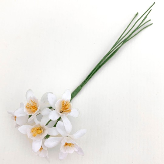 6  White Orange Blossoms ~ 1"